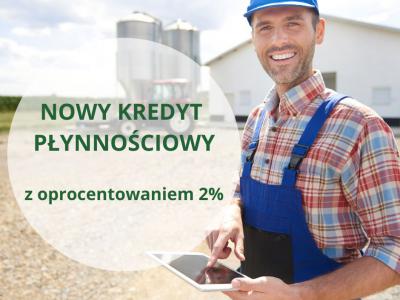 kredyt płynnościowy