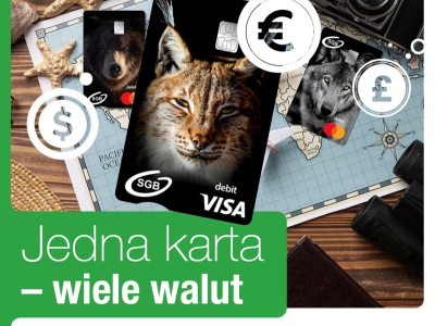 wielowalutowość